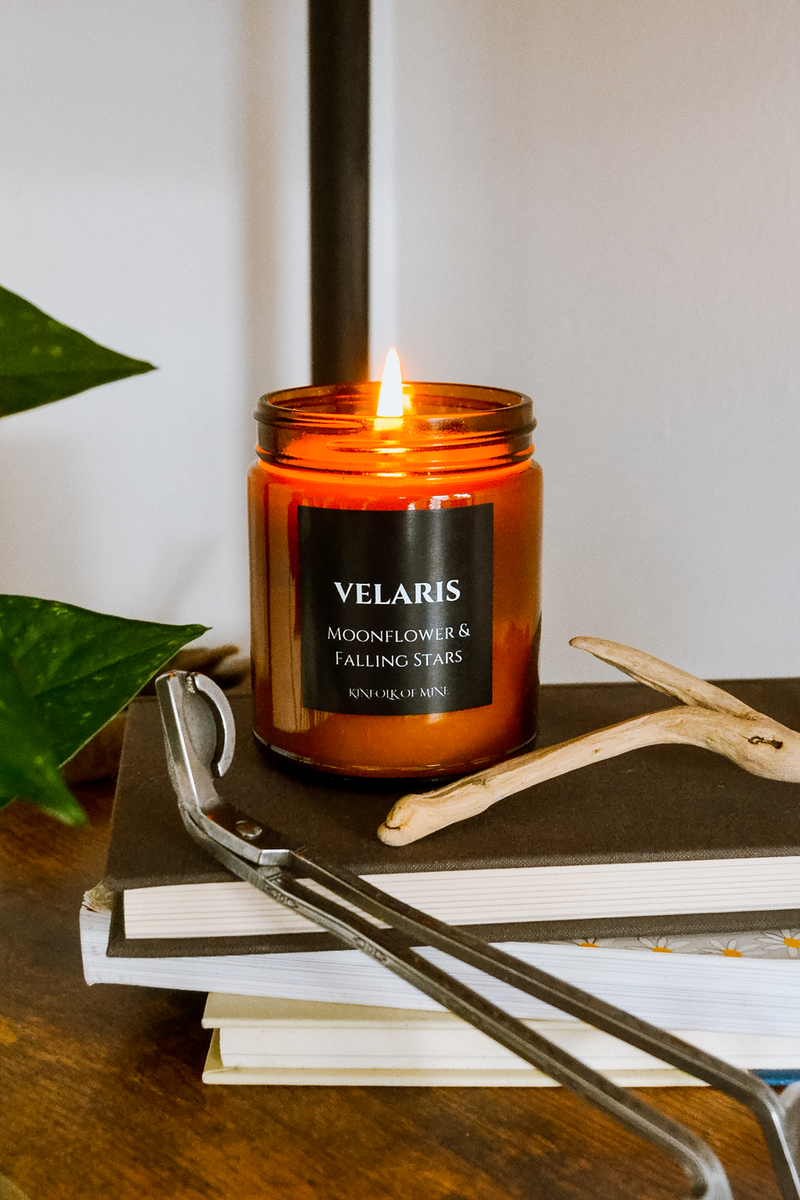 VELARIS Book Lovers Candle – Kinfolk of Mine